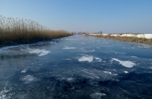 Sfântu Gheorghe Danube branch is shallow and sinuous, so the smaller tributaries freeze during extremely low temperatures.