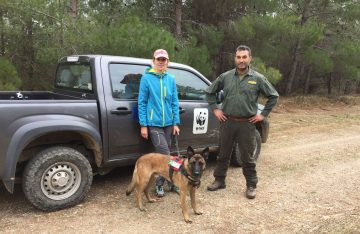 Ela and Kiko with a representative of the Alexandroupolis Hunting Club, which was instrumental in alerting the team to the presence of a poisoned carcass.