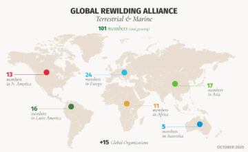 Global rewilding alliance map