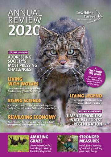 Rewilding Europe Annual Review 2020