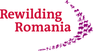 Rewilding Romania